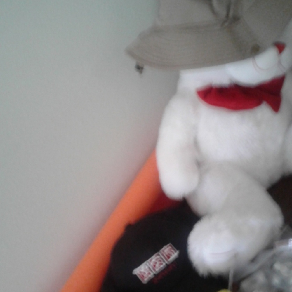 Teddy bear
